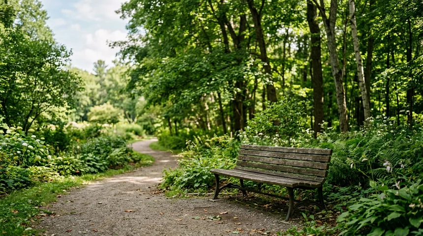Empty wooden bench in a quiet green park