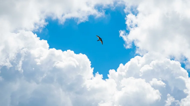 Clear blue sky breaking through clouds